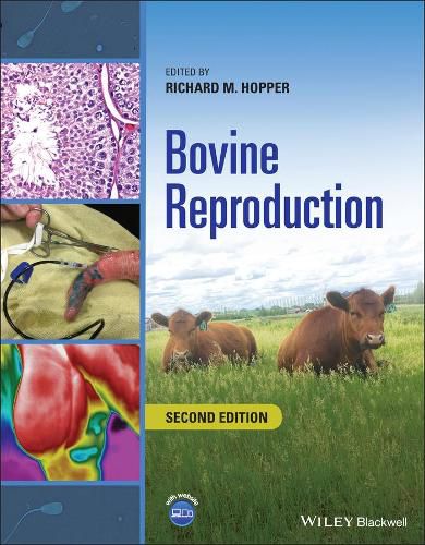 Cover image for Bovine Reproduction