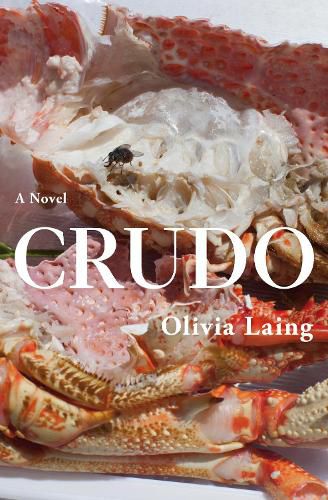 Cover image for Crudo