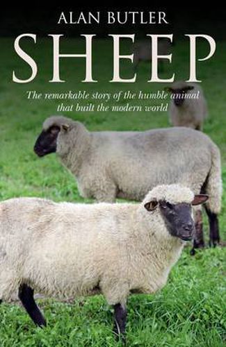 Cover image for Sheep - The remarkable story of the humble animal that built the modern world.