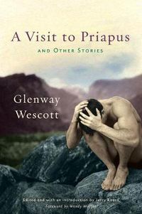 Cover image for A Visit to Priapus and Other Stories