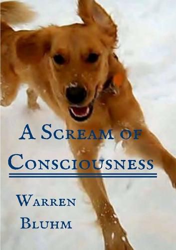 A Scream of Consciousness