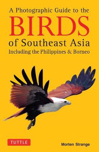 Cover image for A Photographic Guide to the Birds of Southeast Asia: Including the Philippines and Borneo