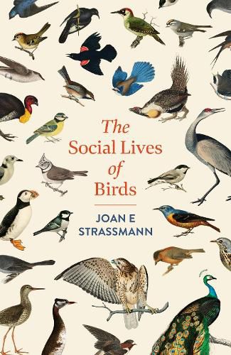 Cover image for The Social Lives of Birds