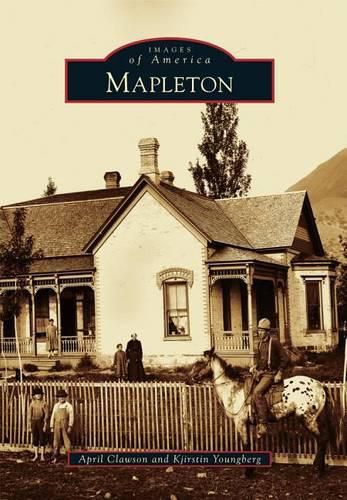 Cover image for Mapleton