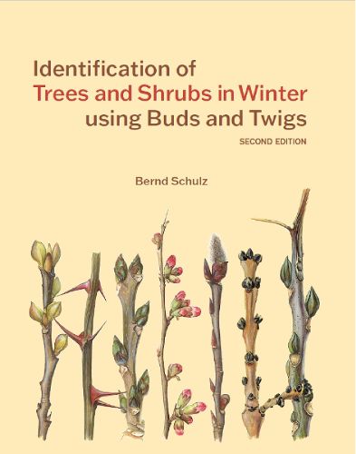 Cover image for Identification of Trees and Shrubs in Winter using Buds and Twigs