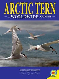 Cover image for Arctic Terns: A Worldwide Journey