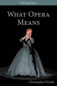 Cover image for What Opera Means: Categories and Case-studies