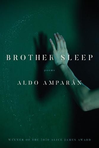 Cover image for Brother Sleep