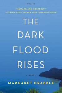 Cover image for The Dark Flood Rises