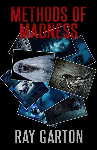 Cover image for Methods of Madness