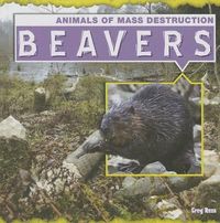 Cover image for Beavers