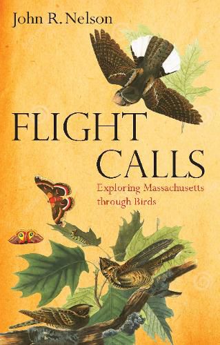 Cover image for Flight Calls: Adventures with Massachusetts Birds