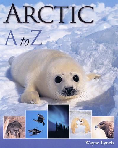 Cover image for Arctic A to Z