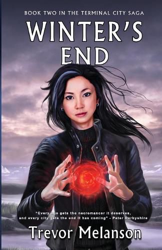 Cover image for Winter's End