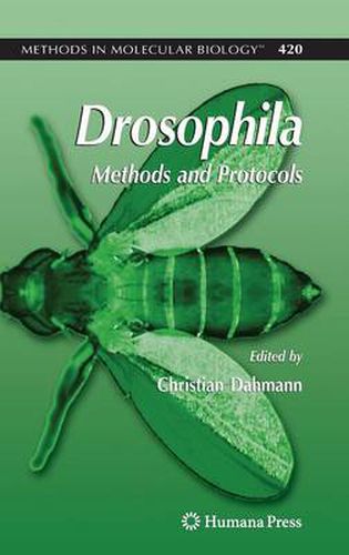 Cover image for Drosophila: Methods and Protocols