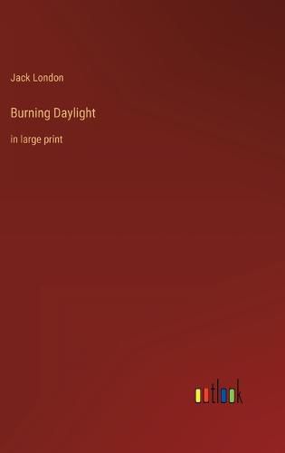 Cover image for Burning Daylight