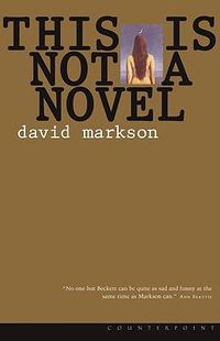 Cover image for This Is Not a Novel
