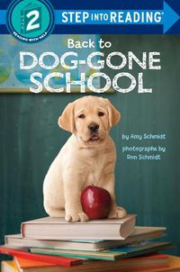 Cover image for Back to Dog-Gone School