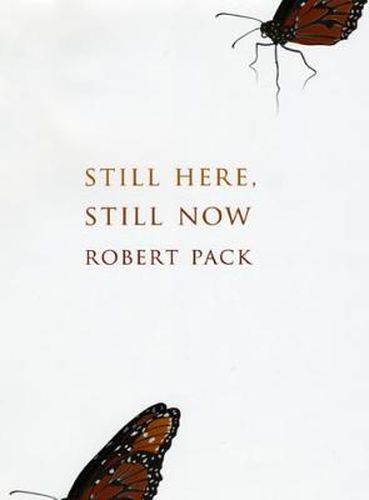 Cover image for Still Here, Still Now