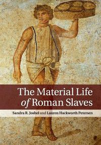 Cover image for The Material Life of Roman Slaves