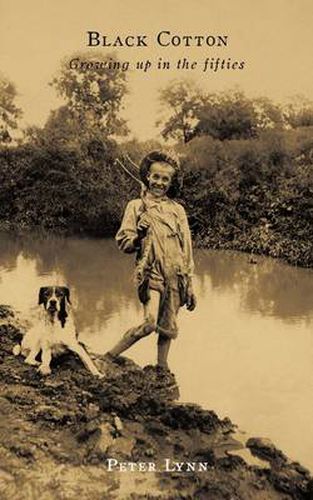 Cover image for Black Cotton