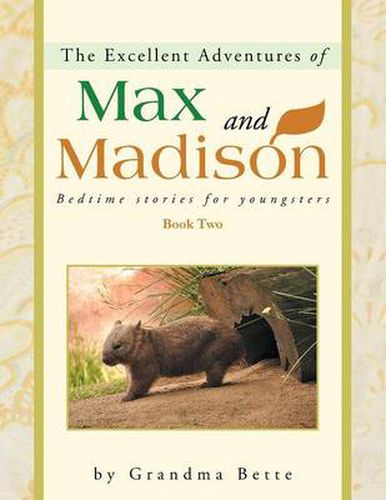 Cover image for The Excellent Adventures of Max and Madison: Bedtime Stories for Youngsters