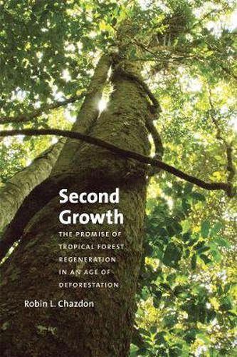 Cover image for Second Growth