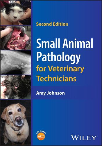 Cover image for Small Animal Pathology for Veterinary Technicians