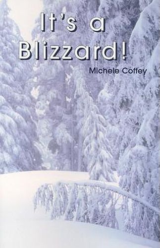 Cover image for It's a Blizzard!