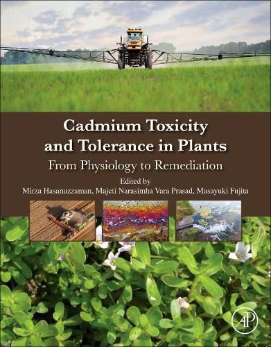 Cadmium Toxicity and Tolerance in Plants: From Physiology to Remediation