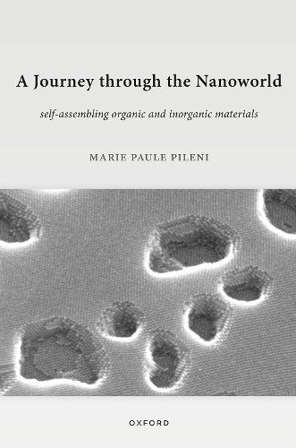 Cover image for A Journey through the Nanoworld