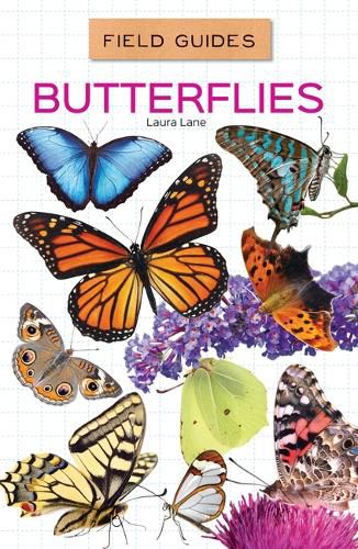 Cover image for Butterflies