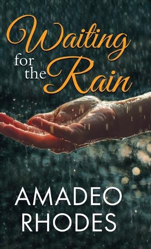 Cover image for Waiting for the Rain