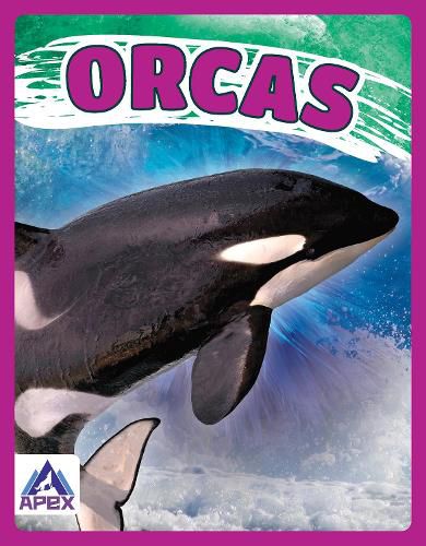 Cover image for Giants of the Sea: Orcas