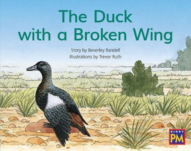 Cover image for The Duck with a Broken Wing: Leveled Reader Blue Fiction Level 9 Grade 1