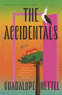 Cover image for The Accidentals