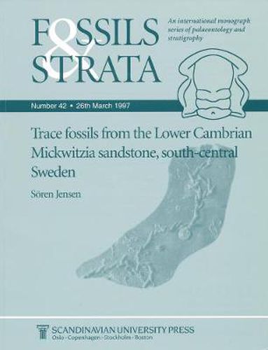 Cover image for Trace Fossils from the Lower Cambrian Mickwitzia Sandstone, South-Central Sweden