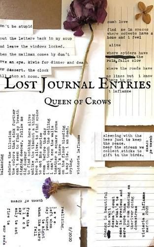 Cover image for Lost Journal Entries