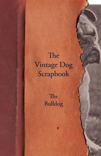 Cover image for The Vintage Dog Scrapbook - The Bulldog