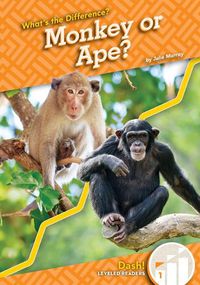 Cover image for Monkey or Ape?