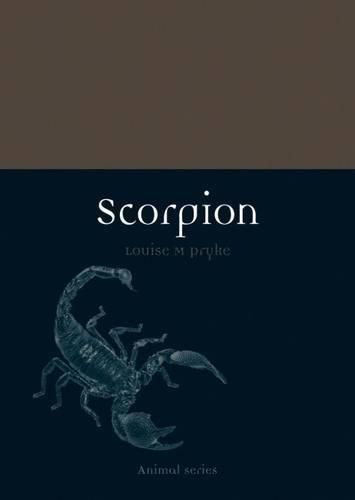 Cover image for Scorpion