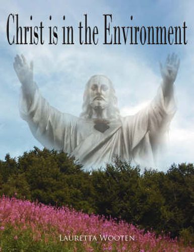 Cover image for Christ Is in the Environment