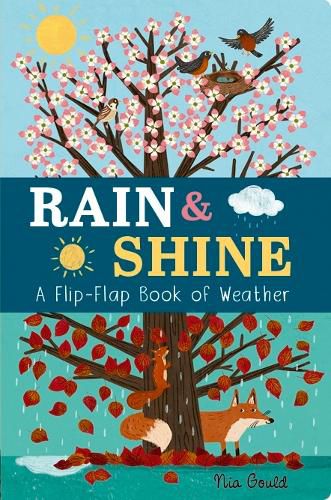 Rain & Shine: A Flip-Flap Book of Weather