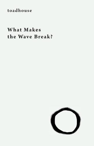 Cover image for What Makes the Wave Break?