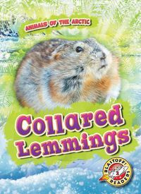 Cover image for Collared Lemmings