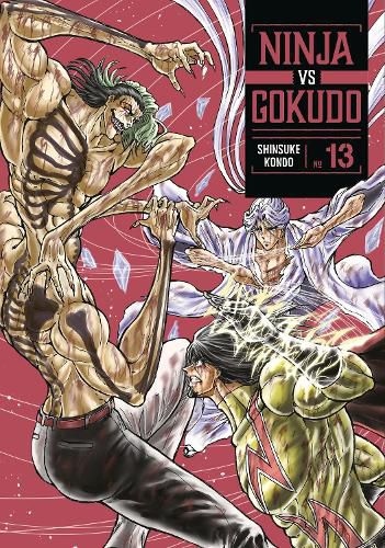 Cover image for Ninja Vs. Gokudo 13
