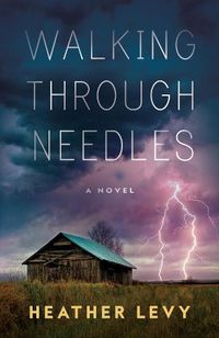 Cover image for Walking Through Needles