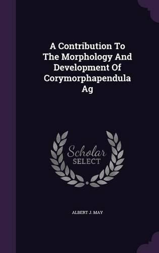 Cover image for A Contribution to the Morphology and Development of Corymorphapendula AG