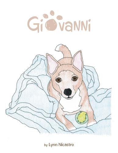 Cover image for Giovanni