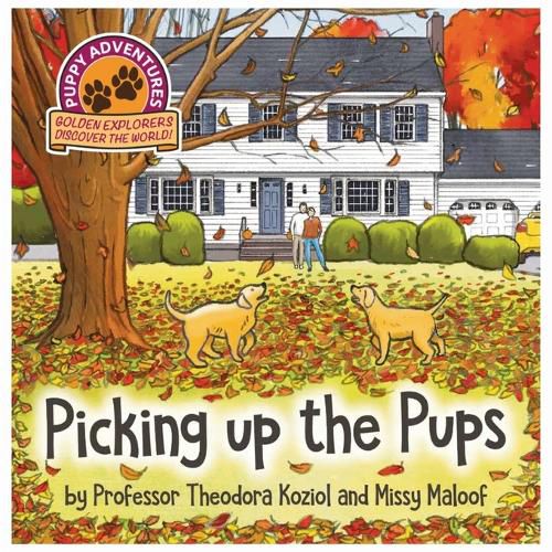 Cover image for Picking Up the Pups